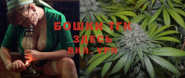 гидра Алексеевка